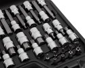 Zestaw bitów Torx, 49 szt.