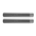Końcówka Torx T55 x 75 mm, S2, 2 szt.