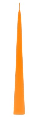 Klin plastikowy 10"