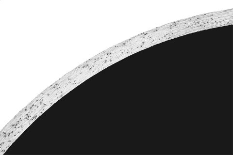 Tarcza diamentowa 230 x 25.4 mm, pełna do 59G891