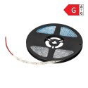 Taśma LED 12V, 2835, 120L/m, 760lm/m, 9,6W/m, IP63, 6000K, 5m
