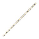 Taśma LED 12V, 2835, 120L/m, 760lm/m, 9,6W/m, IP63, 6000K, 5m