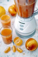 MS 4060g grey Blender kielichowy - 1l