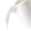 Mlecznik Porcelanowy Biały MONA 260 ml do Zmywarki i Mikrofali ORION